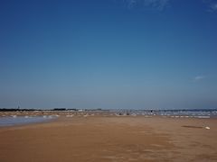 -日照海滨国家森林公园