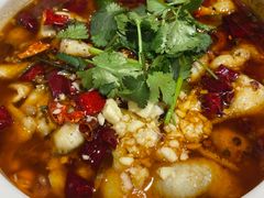 水煮乌鱼片-龙凤瓦罐煨汤馆(清江东路店)