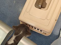 -瑞鹏宠物医院·爱宠堂(环西分院)