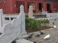 -香山寺