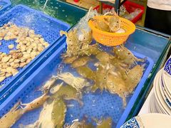 -渔家火锅·海鲜自助餐·演艺(亚龙湾天域酒店)