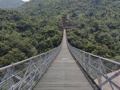 -呀诺达热带雨林