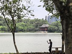 -顺峰山公园