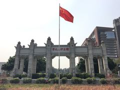 -中山大学学者灵芝(园南路店)