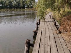 -白渔泡湿地公园