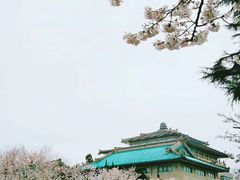-武汉大学-樱园