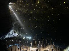 -地心探险极地