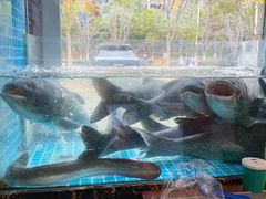 -浔味·山屿湖·正宗淳牌全鱼宴老字号