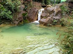-南海湾森林生态园