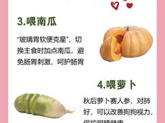 -博特宠物医院24h犬猫全科.骨科·异宠