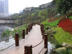 -重庆彩云湖湿地公园
