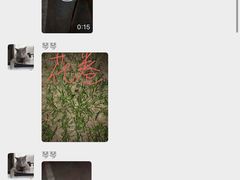 -美联众合动物医院·24h京西诊疗中心