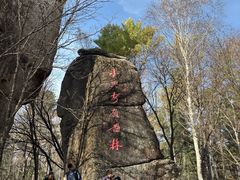 -汤旺河林海奇石景区
