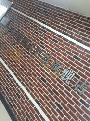 -变美丽半永久纹眉连锁·机器野生眉·洗眉