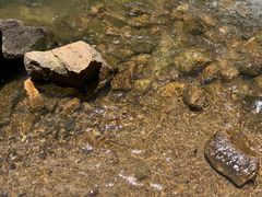 -广州白江湖森林公园