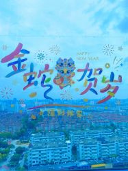 -Verywang半永久纹眉•仪器野生眉