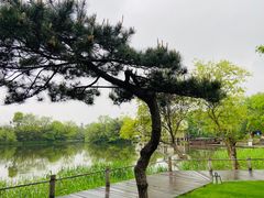 -新荣记(西溪湿地店)