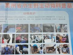 -多彩贵州城极地海洋世界