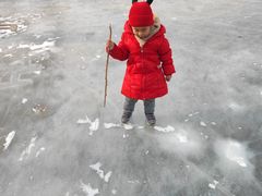 -东坝千亩湖公园