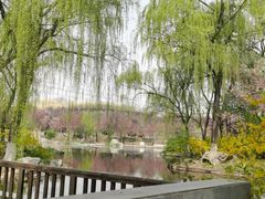 -石家庄市植物园