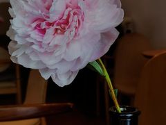 -竹子咖啡bamboo coffee