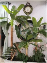 -东方凯丽·美容抗衰会所·菲比店