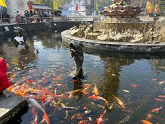-上海东林寺(金山区)