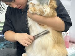 -爱洗澡的猫(天河路店)