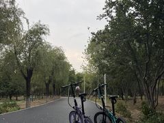 -绿堤公园