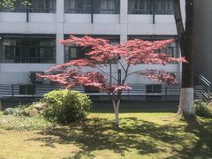 -浙江大学(紫金港校区)