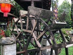 -青城甲(青城山店)