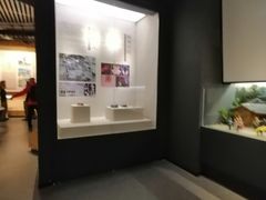 -中国客家博物馆