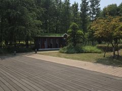 -九科绿洲