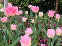 -玄武湖景区-情侣园游乐场