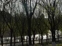 -永定河休闲森林公园