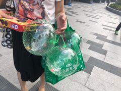 -小问号·科学启蒙·逻辑思维·阅读素养·口才演讲(杨浦合生汇中心)