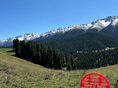 -江布拉克景区怪坡停车场