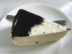 -有猫主题·治愈系猫咖(曾厝垵店)
