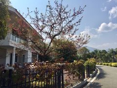 -福建鲤鱼洲酒店