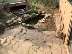 -宁波野生动物园