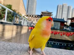 -西安大唐西市博物馆