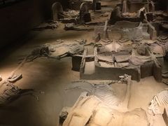 -洛阳周王城天子驾六博物馆