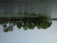 android_upload_pic-焦岗湖旅游度假区
