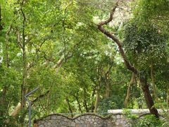 -广西壮族自治区药用植物园