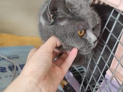 -贝康宠物医院·犬猫全科·小动物特色诊疗中心(东环路店)