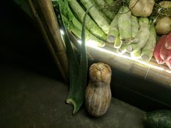 -楠柏弯休闲山庄(梨花溪店)