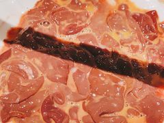 -蜀九香火锅(彩虹店)