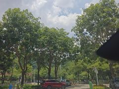 -凤岗南门山森林公园