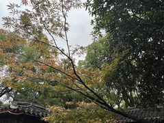 -天一阁博物院
