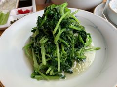 蒜蓉鸡毛菜-四季民福烤鸭店(前门廊房二条店)